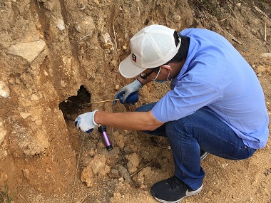鳳崗白蟻驗收——白蟻對河岸堤壩會產生哪些危害