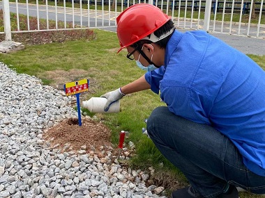 東莞紅火蟻滅治站——什么是紅火蟻？紅火蟻的危害