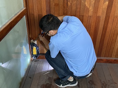 鳳崗殺滅白蟻機(jī)構(gòu)提醒大家高層住宅真的不是白蟻的“禁區(qū)”