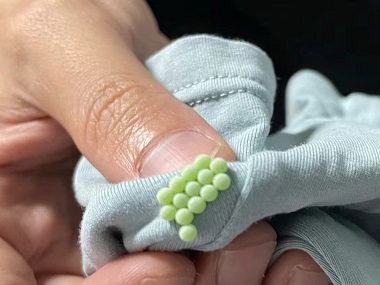 麻涌蟲害消殺公司怎么滅除床上的臭蟲