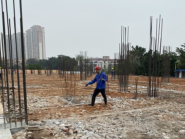 虎門驗(yàn)收白蟻站白蟻防治從打地基就要開始！